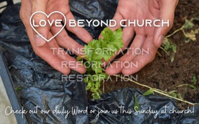 Day 122 Stewardship versus Ownership
