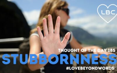 Day 185 Stubbornness