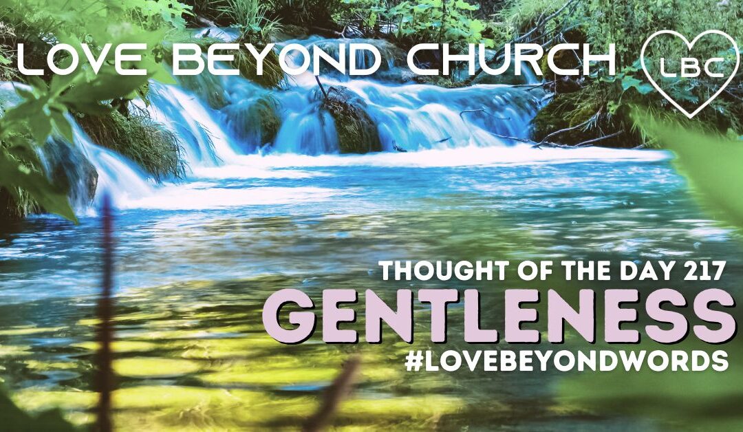 Day 217 Gentleness