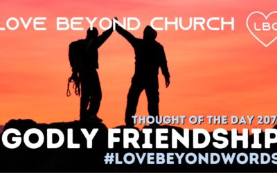 Day 207 Godly Friendship