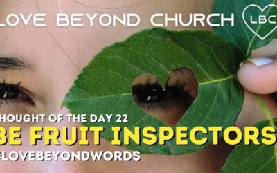 Day 22 Be Fruit Inspectors