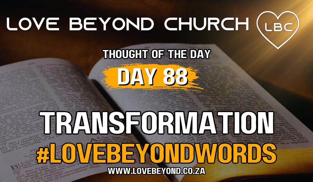 Day 88 Transformation