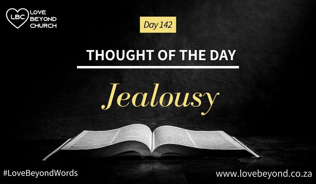 Day 142 Jealousy