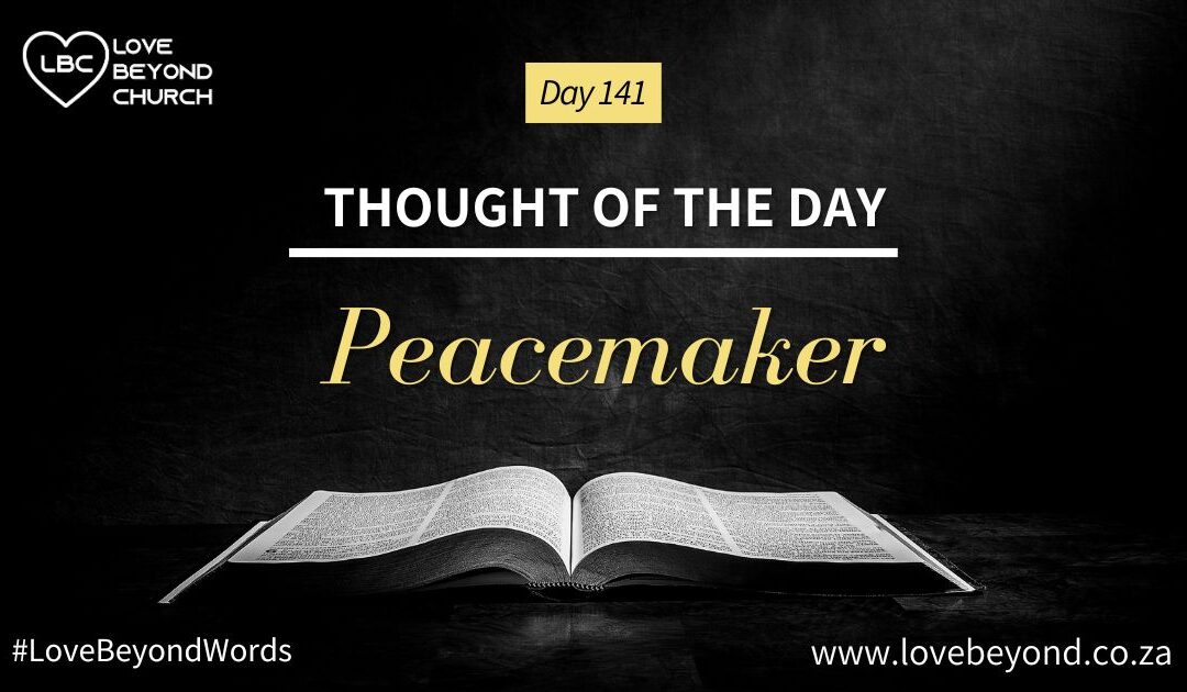 Day 141 Peacemaker