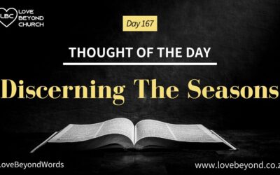 Day 167 Discerning The Seasons