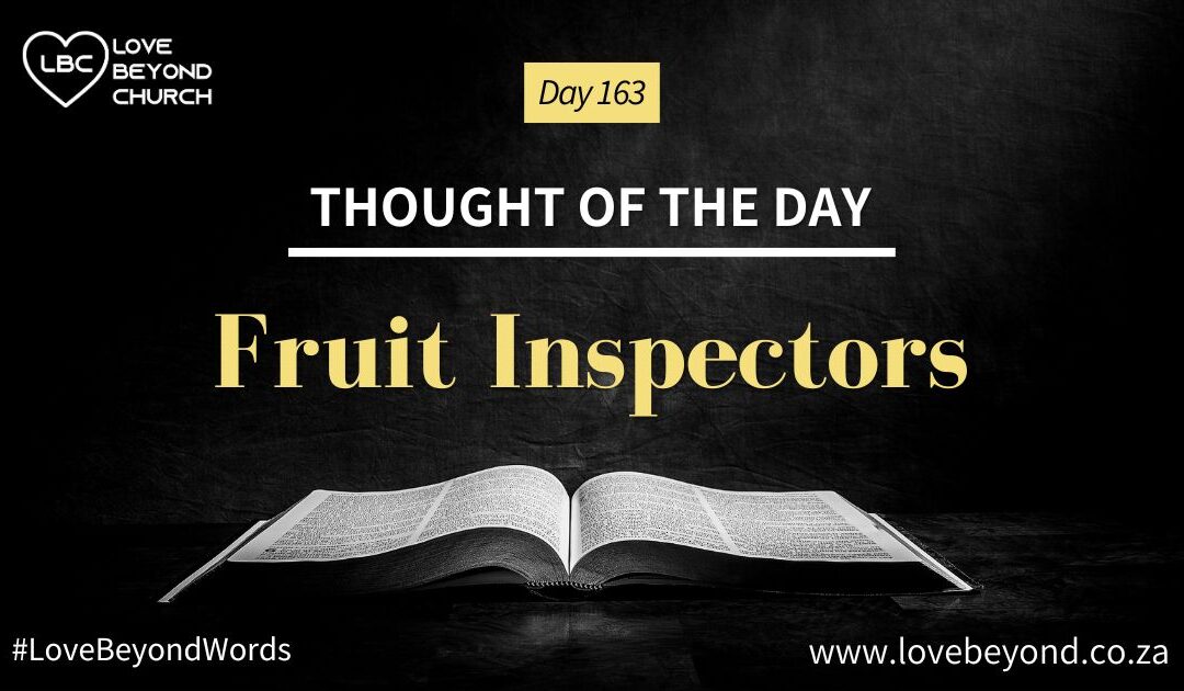 Day 163 Fruit Inspectors
