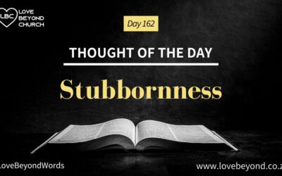 Day 162 Stubbornness