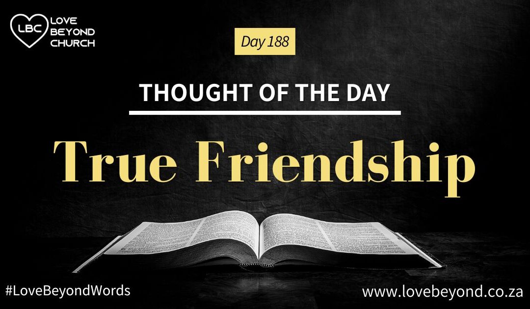 Day 188 True Friendship