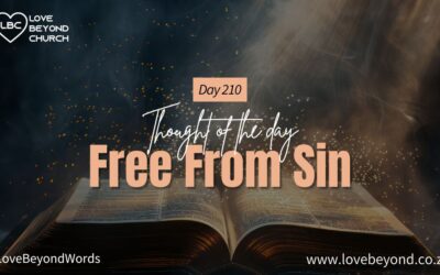 Day 210 Free From Sin