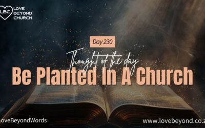 Day 230 Be Planted In A Church