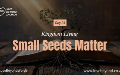 Day 24 Small Seeds Matter
